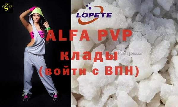 молекула духа Ельня