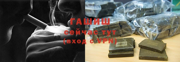 молекула духа Ельня