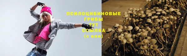 мескалин Елабуга