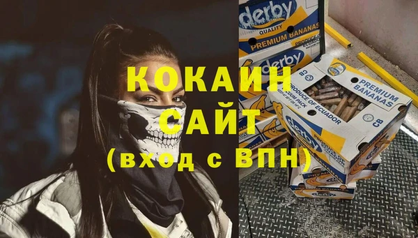 молекула духа Ельня