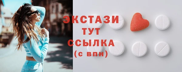 молекула духа Ельня