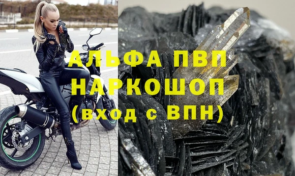молекула духа Ельня