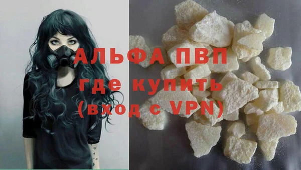 молекула духа Ельня