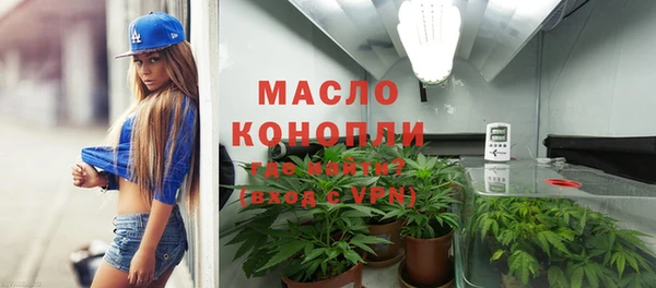 молекула духа Ельня