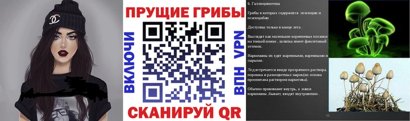 Купить закладки  Курлово  Псилоцибиновые грибы прущие грибы 